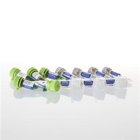 Gotaq r flexi DNA polymerase 500u.