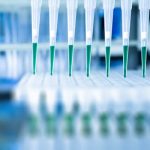 puntas para micropipetas